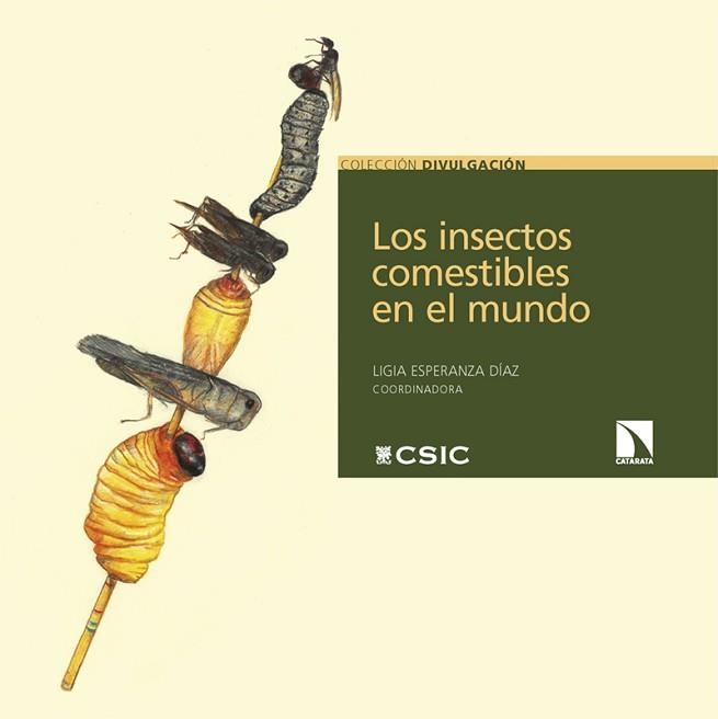 LOS INSECTOS COMESTIBLES EN EL MUNDO | 9788410674936 | ESPERANZA DÍAZ, LIGIA | Llibreria Geli - Llibreria Online de Girona - Comprar llibres en català i castellà