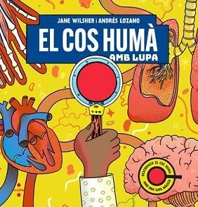 EL COS HUMÀ AMB LUPA | 9788466159074 | WILSHER, JANE | Llibreria Geli - Llibreria Online de Girona - Comprar llibres en català i castellà