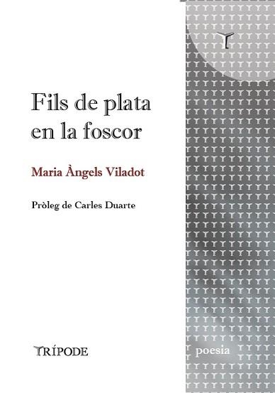 FILS DE PLATA EN LA FOSCOR | 9791399090352 | VILADOT, MARIA ÀNGELS | Llibreria Geli - Llibreria Online de Girona - Comprar llibres en català i castellà