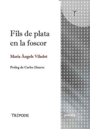 FILS DE PLATA EN LA FOSCOR | 9791399090352 | VILADOT, MARIA ÀNGELS | Llibreria Geli - Llibreria Online de Girona - Comprar llibres en català i castellà