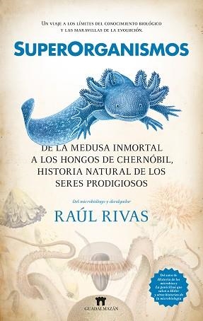 SUPERORGANISMOS | 9788419414397 | RAÚL RIVAS | Llibreria Geli - Llibreria Online de Girona - Comprar llibres en català i castellà