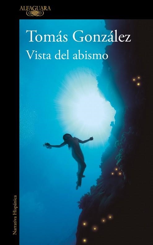 VISTA DEL ABISMO | 9788410299443 | GONZÁLEZ, TOMÁS | Llibreria Geli - Llibreria Online de Girona - Comprar llibres en català i castellà