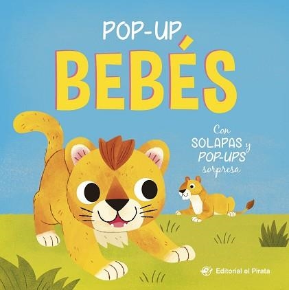 POP-UP BEBÉS(CON SOLAPAS Y POP-UPS SORPRESA) | 9788419898968 | BLAKE, CARLY | Llibreria Geli - Llibreria Online de Girona - Comprar llibres en català i castellà
