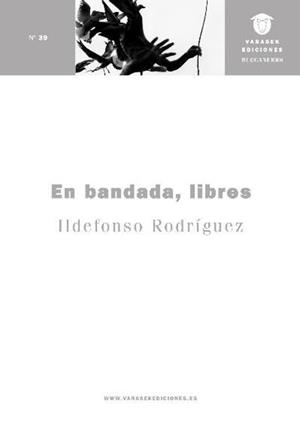EN BANDADA,LIBRES | 9791399018417 | RODRÍGUEZ, ILDEFONSO | Llibreria Geli - Llibreria Online de Girona - Comprar llibres en català i castellà