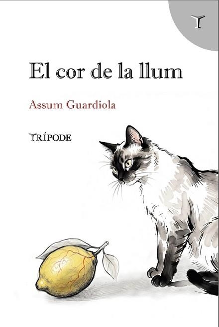 EL COR DE LA LLUM | 9791399090376 | GUARDIOLA, ASSUM | Llibreria Geli - Llibreria Online de Girona - Comprar llibres en català i castellà