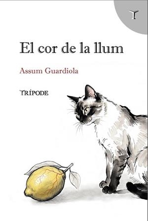 EL COR DE LA LLUM | 9791399090376 | GUARDIOLA, ASSUM | Llibreria Geli - Llibreria Online de Girona - Comprar llibres en català i castellà