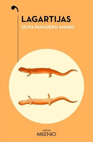 LAGARTIJAS | 9788419884985 | PANADERO AMARO, SILVIA | Llibreria Geli - Llibreria Online de Girona - Comprar llibres en català i castellà
