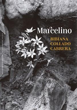 MARCELINO | 9788410476431 | COLLADO CABRERA, BIBIANA | Llibreria Geli - Llibreria Online de Girona - Comprar llibres en català i castellà