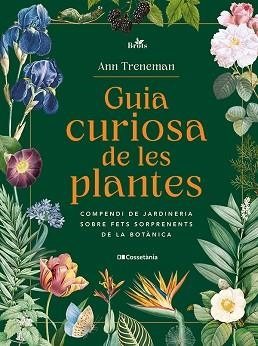 GUIA CURIOSA DE LES PLANTES | 9788413565354 | TRENEMAN, ANN | Llibreria Geli - Llibreria Online de Girona - Comprar llibres en català i castellà