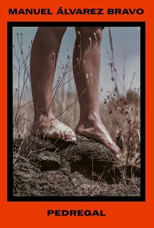 MANUEL ÁLVAREZ BRAVO. PEDREGAL | 9788410290556 | ÁLVAREZ BRAVO, MANUEL | Libreria Geli - Librería Online de Girona - Comprar libros en catalán y castellano