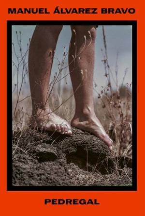 MANUEL ÁLVAREZ BRAVO. PEDREGAL | 9788410290556 | ÁLVAREZ BRAVO, MANUEL | Libreria Geli - Librería Online de Girona - Comprar libros en catalán y castellano