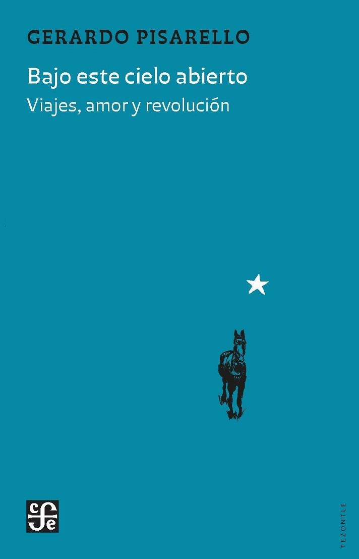 BAJO ESTE CIELO ABIERTO | 9788437508573 | PISARELLO PRADOS, GERARDO | Libreria Geli - Librería Online de Girona - Comprar libros en catalán y castellano