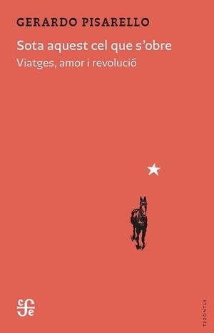 SOTA AQUEST CEL QUE S'OBRE | 9788437508580 | PISARELLO PRADOS, GERARDO | Libreria Geli - Librería Online de Girona - Comprar libros en catalán y castellano