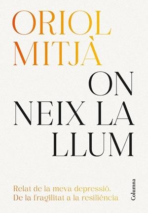 ON NEIX LA LLUM | 9788466434751 | MITJÀ, ORIOL | Llibreria Geli - Llibreria Online de Girona - Comprar llibres en català i castellà