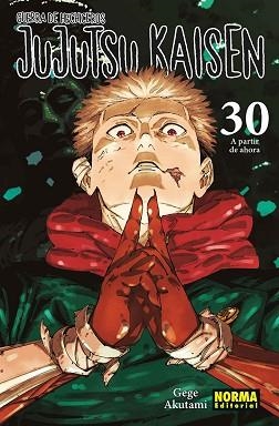 JUJUTSU KAISEN-30 | 9788467975833 | AKUTAMI, GEGE | Llibreria Geli - Llibreria Online de Girona - Comprar llibres en català i castellà