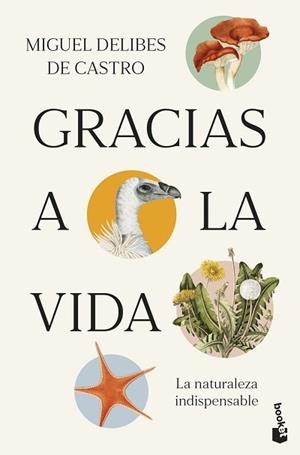 GRACIAS A LA VIDA | 9788423369539 | DELIBES DE CASTRO, MIGUEL | Llibreria Geli - Llibreria Online de Girona - Comprar llibres en català i castellà