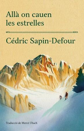 ALLÀ ON CAUEN LES ESTRELLES | 9788417353711 | CÉDRIC SAPIN-DEFOUR | Llibreria Geli - Llibreria Online de Girona - Comprar llibres en català i castellà