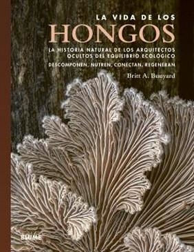 LA VIDA DE LOS HONGOS | 9791387881368 | BUNYARD, A. | Llibreria Geli - Llibreria Online de Girona - Comprar llibres en català i castellà
