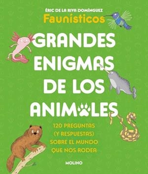GRANDES ENIGMAS DE LOS ANIMALES (COLECCIÓN GRANDES ENIGMAS) | 9788427253698 | DE LA RIVA DOMÍNGUEZ (FAUNÍSTICOS), ÉRIC | Libreria Geli - Librería Online de Girona - Comprar libros en catalán y castellano