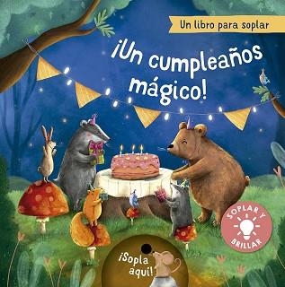 UN CUMPLEAÑOS MÁGICO! | 9788491459088 | HÖCK, MARIA | Libreria Geli - Librería Online de Girona - Comprar libros en catalán y castellano