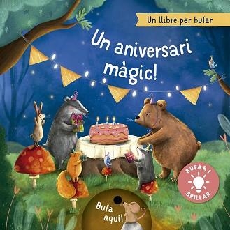 UN ANIVERSARI MÀGIC | 9788491459095 | HÖCK, MARIA | Libreria Geli - Librería Online de Girona - Comprar libros en catalán y castellano