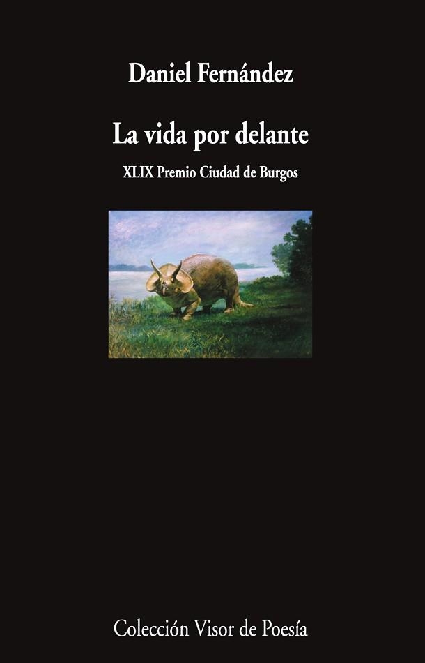 LA VIDA POR DELANTE | 9791387745363 | FERNÁNDEZ, DANIEL | Libreria Geli - Librería Online de Girona - Comprar libros en catalán y castellano