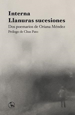 INTERNA / LLANURAS SUCESIONES | 9788418782831 | MÉNDEZ, ORIANA | Llibreria Geli - Llibreria Online de Girona - Comprar llibres en català i castellà