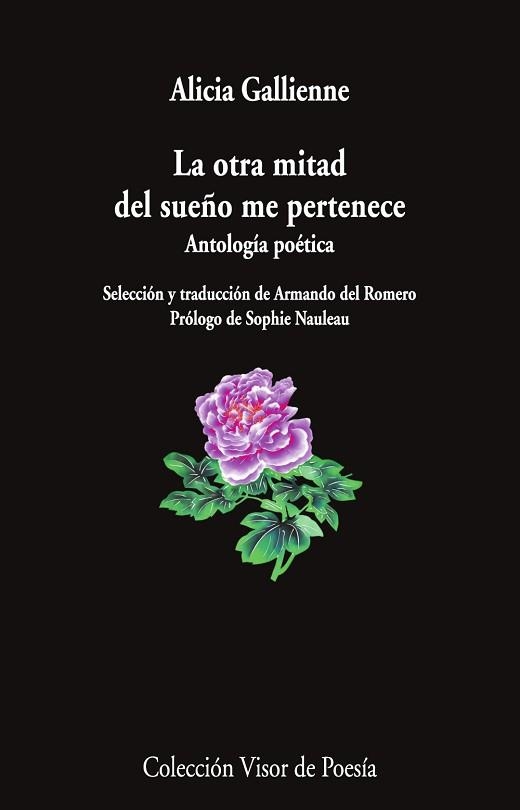 LA OTRA MITAD DEL SUEÑO ME PERTENECE | 9791387745387 | GALLIENE, ALICIA | Llibreria Geli - Llibreria Online de Girona - Comprar llibres en català i castellà