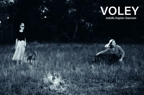 VÓLEY | 9788419539212 | KAPLAN GASMAN, ADOLFO | Llibreria Geli - Llibreria Online de Girona - Comprar llibres en català i castellà