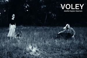 VÓLEY | 9788419539212 | KAPLAN GASMAN, ADOLFO | Llibreria Geli - Llibreria Online de Girona - Comprar llibres en català i castellà