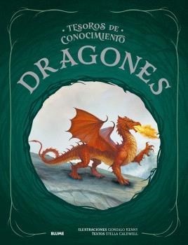 TESOROS CONOCIMIENTO.DRAGONES | 9791387881191 | KENNY, GONZALO/CALDWELL, STELLA | Llibreria Geli - Llibreria Online de Girona - Comprar llibres en català i castellà