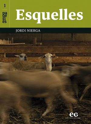 ESQUELLES | 9788419292506 | NIERGA HUGAS, JORDI | Llibreria Geli - Llibreria Online de Girona - Comprar llibres en català i castellà