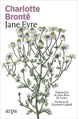 JANE EYRE | 9791387833947 | BRONTË, CHARLOTTE | Llibreria Geli - Llibreria Online de Girona - Comprar llibres en català i castellà