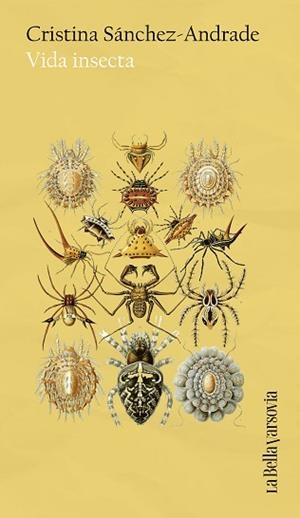 VIDA INSECTA | 9788433949653 | SÁNCHEZ-ANDRADE, CRISTINA | Llibreria Geli - Llibreria Online de Girona - Comprar llibres en català i castellà