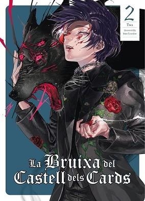 LA BRUIXA DEL CASTELL DELS CARDS-2 | 9788412998955 | TARACHINE, JOHN | Libreria Geli - Librería Online de Girona - Comprar libros en catalán y castellano
