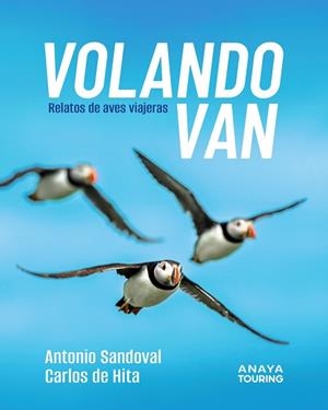 VOLANDO VAN | 9788491589303 | SANDOVAL REY, ANTONIO JUAN/HITA MORENO, CARLOS DE | Llibreria Geli - Llibreria Online de Girona - Comprar llibres en català i castellà