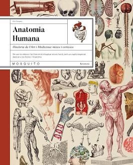 ANATOMIA HUMANA.HISTÒRIA DE L’ART I MEDICINA: MITES I CERTESES | 9788410417724 | CASSANY, MIA | Llibreria Geli - Llibreria Online de Girona - Comprar llibres en català i castellà