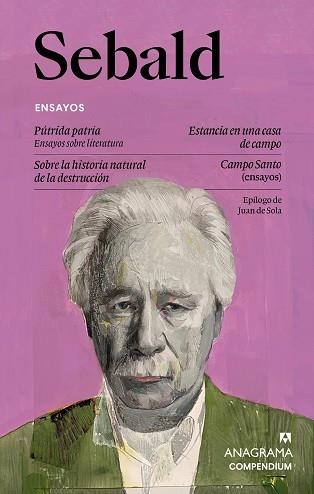 ENSAYOS | 9788433949585 | SEBALD, W. G. | Llibreria Geli - Llibreria Online de Girona - Comprar llibres en català i castellà