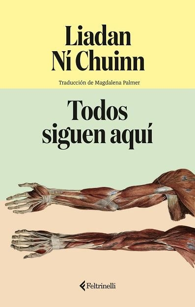 TODOS SIGUEN AQUÍ | 9791388111013 | CHUINN, LIADAN NÍ | Llibreria Geli - Llibreria Online de Girona - Comprar llibres en català i castellà
