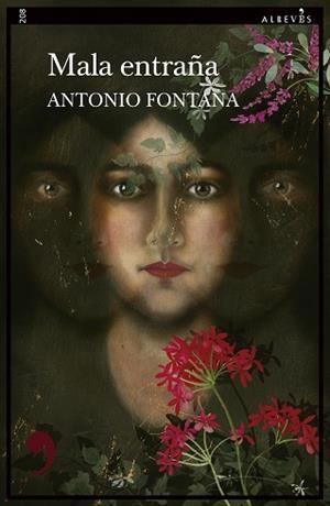 MALA ENTRAÑA | 9788410455757 | FONTANA, ANTONIO | Llibreria Geli - Llibreria Online de Girona - Comprar llibres en català i castellà