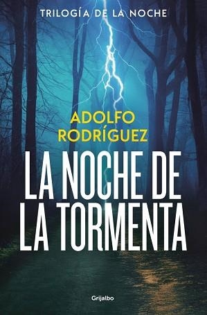 LA NOCHE DE LA TORMENTA (TRILOGÍA DE LA NOCHE 3) | 9788425374227 | RODRÍGUEZ, ADOLFO | Llibreria Geli - Llibreria Online de Girona - Comprar llibres en català i castellà