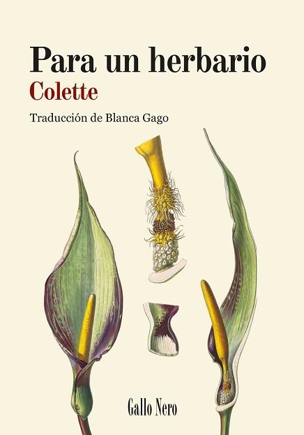 PARA UN HERBARIO | 9788419168887 | COLETTE, SIDONIE-GABRIELLE | Libreria Geli - Librería Online de Girona - Comprar libros en catalán y castellano