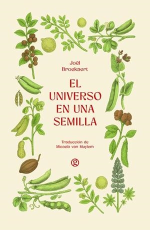 EL UNIVERSO EN UNA SEMILLA | 9788419990839 | BROEKAERT, JOËL | Llibreria Geli - Llibreria Online de Girona - Comprar llibres en català i castellà