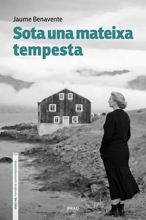 SOTA UNA MATEIXA TEMPESTA | 9791387701147 | BENAVENTE CASSANYES, JAUME | Llibreria Geli - Llibreria Online de Girona - Comprar llibres en català i castellà