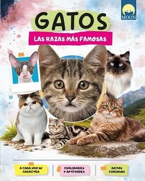 GATOS.LAS RAZAS MAS FAMOSAS | 9791256431762 | BARBIERI,GIULIA | Llibreria Geli - Llibreria Online de Girona - Comprar llibres en català i castellà