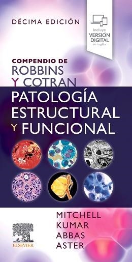 COMPENDIO DE ROBBINS Y COTRAN. PATOLOGÍA ESTRUCTURAL Y FUNCIONAL(10ª EDICIÓN 2024) | 9788413826073 | MITCHELL/KUMAR/ABBAS | Llibreria Geli - Llibreria Online de Girona - Comprar llibres en català i castellà
