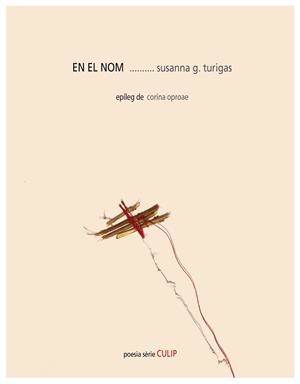 EN EL NOM | 9788481280968 | GONZÁLEZ TURIGAS, SUSANNA | Libreria Geli - Librería Online de Girona - Comprar libros en catalán y castellano