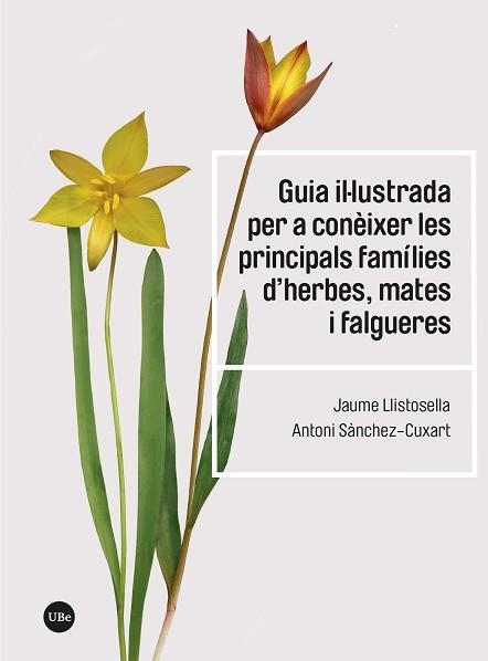 GUIA IL·LUSTRADA PER A CONÈIXER LES PRINCIPALS FAMÍLIES D’HERBES, MATES I FALGUERES | 9788410502192 | LLISTOSELLA, JAUME/SÀNCHEZ-CUXART, ANTONI | Libreria Geli - Librería Online de Girona - Comprar libros en catalán y castellano