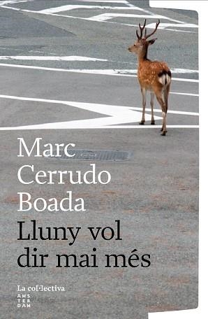 LLUNY VOL DIR MAI MÉS | 9791387800260 | CERRUDO BOADA, MARC | Llibreria Geli - Llibreria Online de Girona - Comprar llibres en català i castellà
