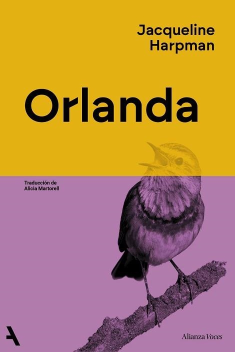 ORLANDA | 9791370093020 | HARPMAN, JACQUELINE | Llibreria Geli - Llibreria Online de Girona - Comprar llibres en català i castellà